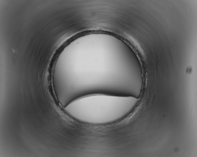 X0000101700876200807101343