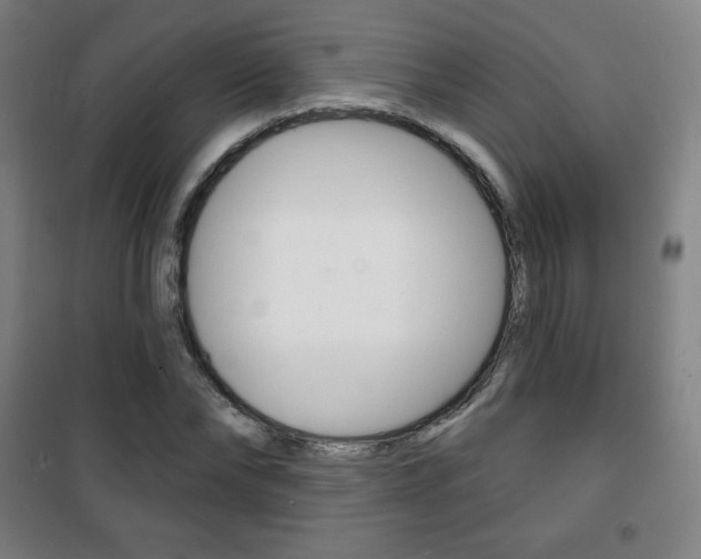 X0000101700878200807101343