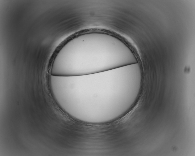 X0000101700879200807101343