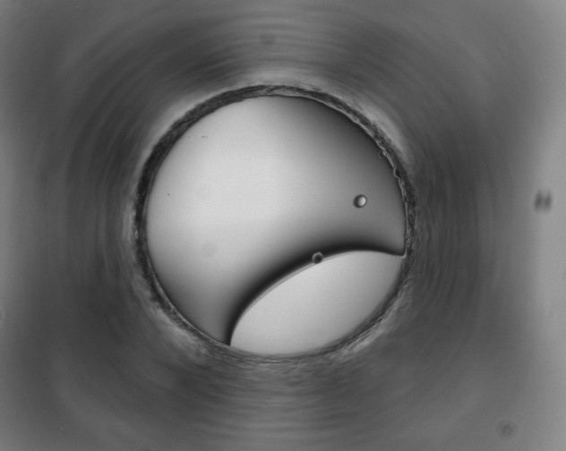 X0000101700880200807101343