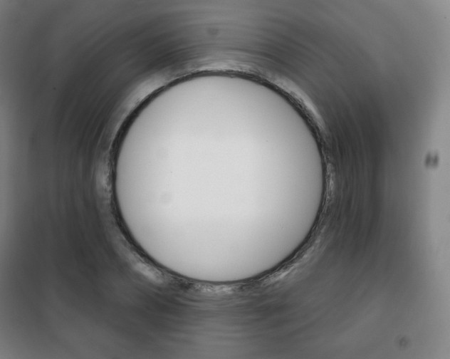 X0000101700882200807101343