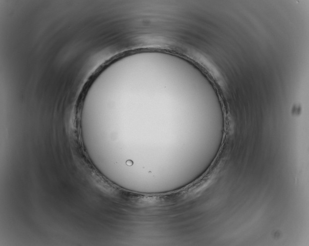 X0000101700883200807101343
