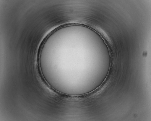 X0000101700884200807101343