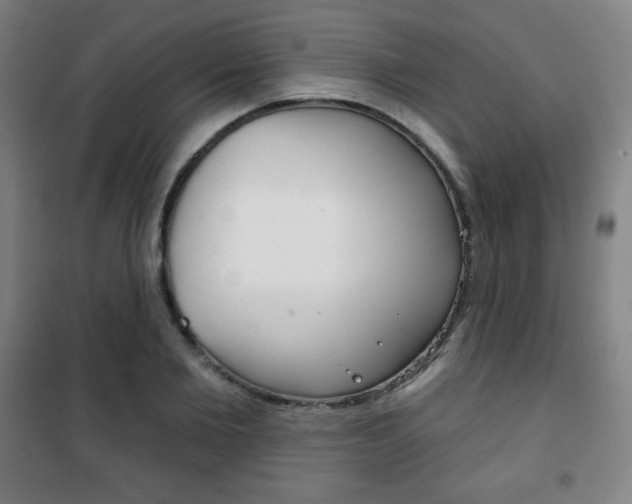 X0000101700885200807101343
