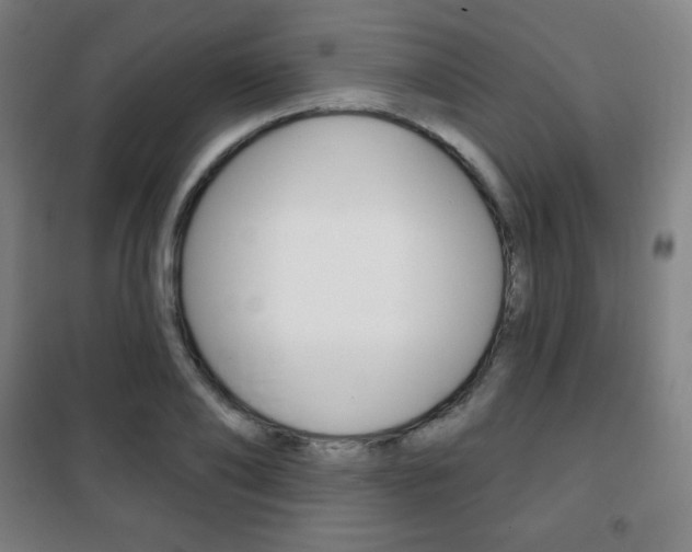 X0000101700886200807101343