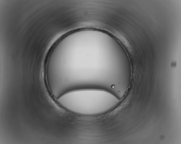 X0000101700888200807101343
