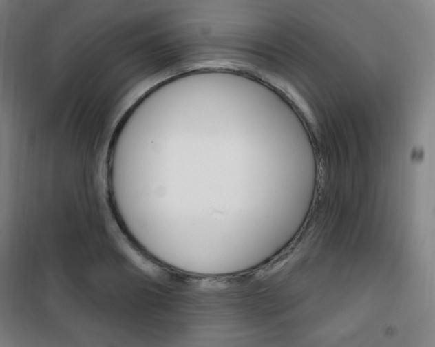 X0000101700890200807101343