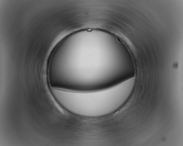 X0000101700894200807101343