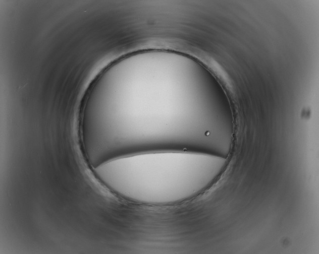 X0000101700896200807101343