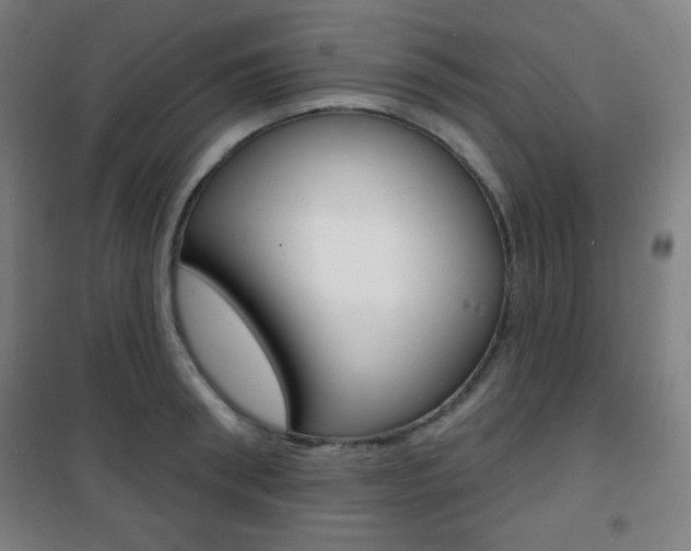 X0000101700898200807101343
