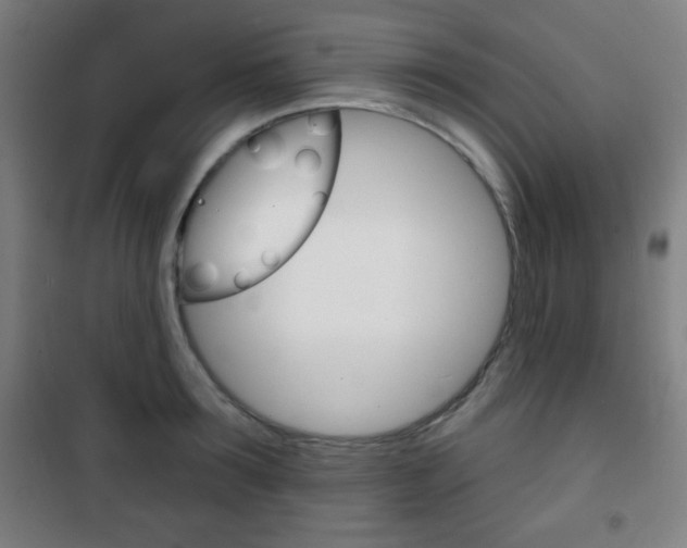 X0000101700899200807101343