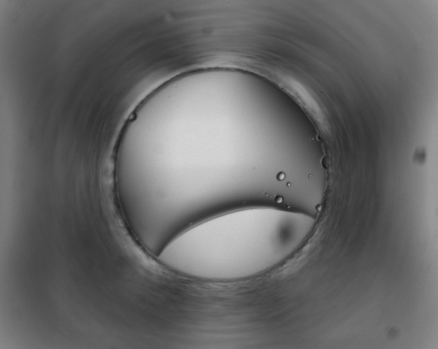 X0000101700900200807101343