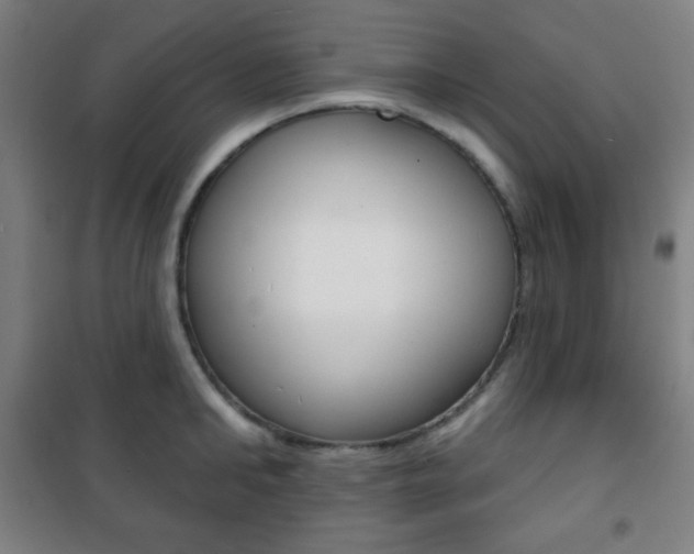 X0000101700902200807101343