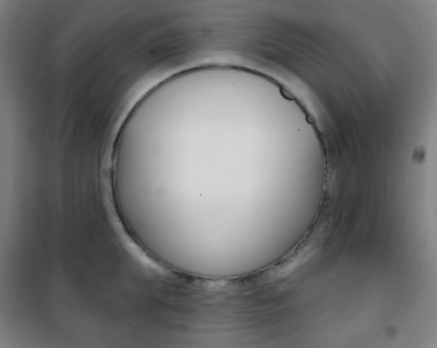 X0000101700903200807101343