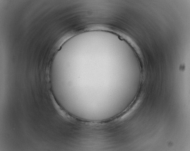 X0000101700905200807101343
