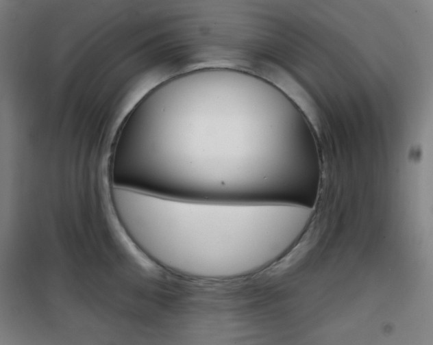 X0000101700906200807101343