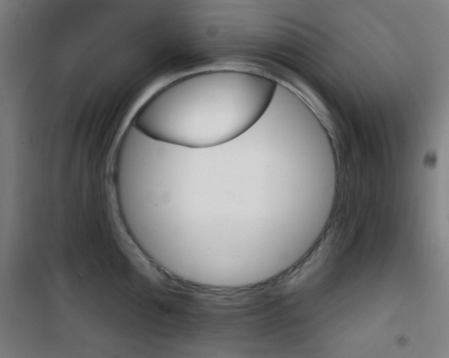 X0000101700907200807101343