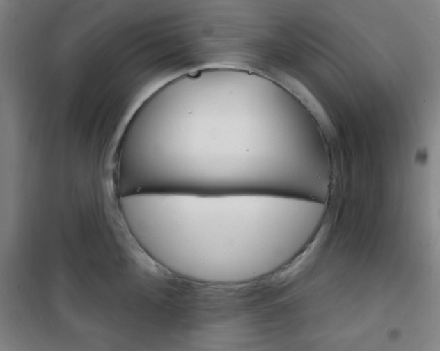 X0000101700908200807101343