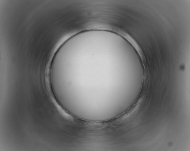 X0000101700909200807101343