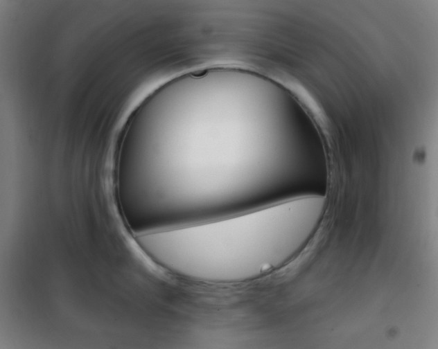 X0000101700910200807101343