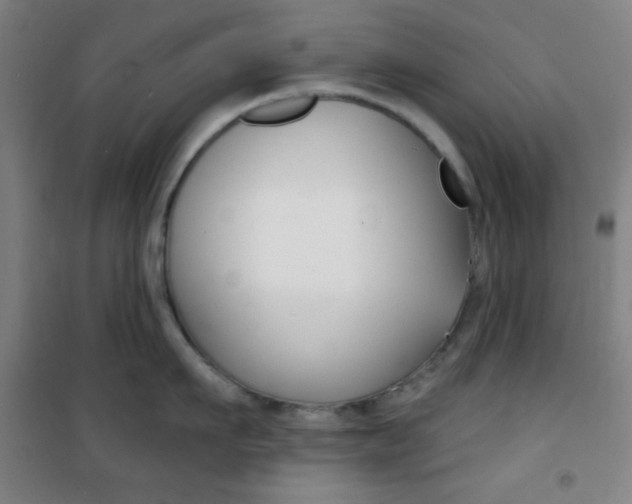 X0000101700911200807101343