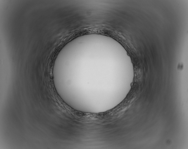 X0000101700913200807101342