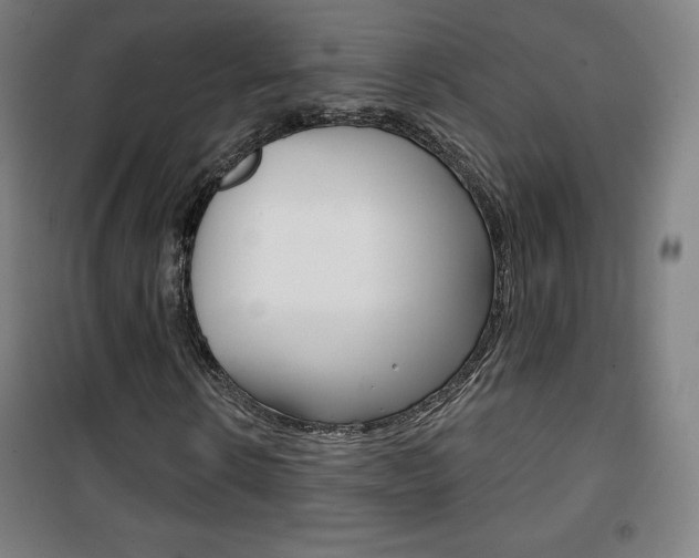 X0000101700914200807101342