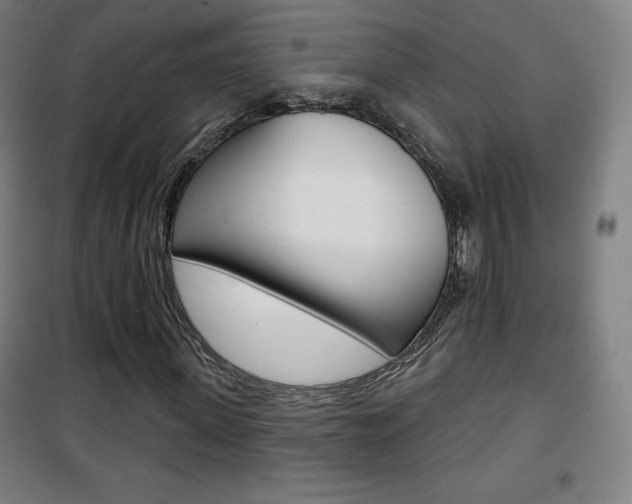 X0000101700915200807101342