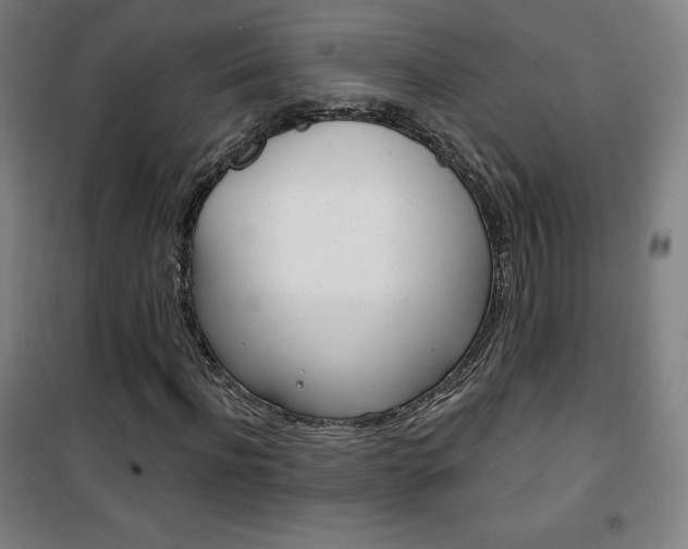 X0000101700916200807101342