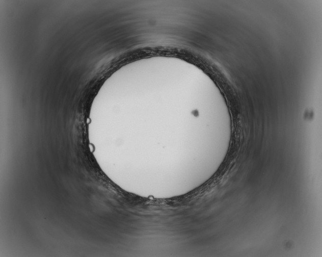 X0000101700918200807101342