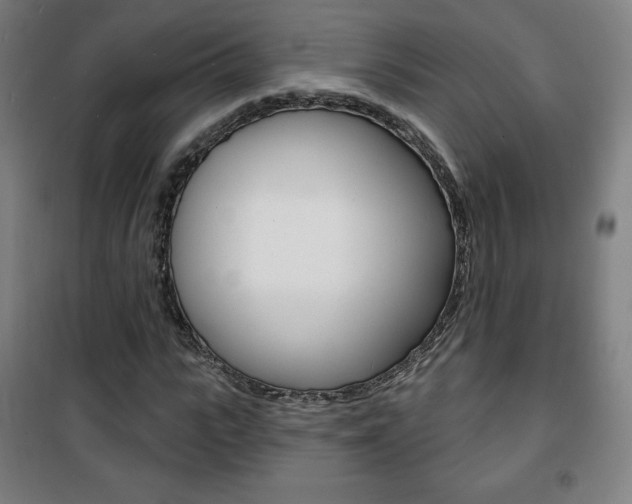 X0000101700919200807101342