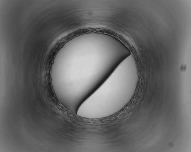 X0000101700920200807101342
