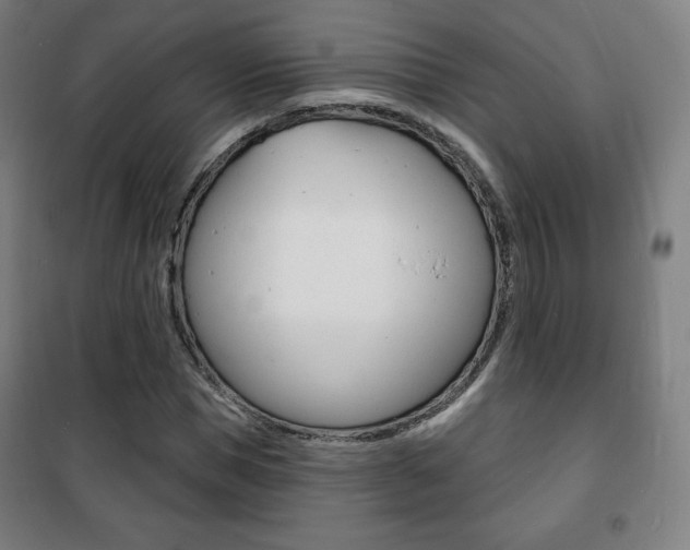 X0000101700921200807101342