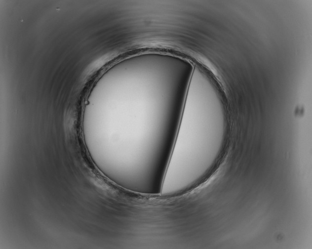 X0000101700922200807101342