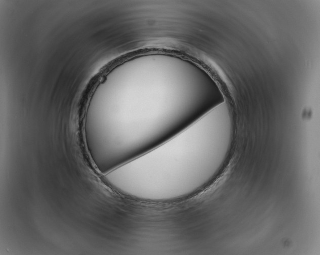 X0000101700923200807101342