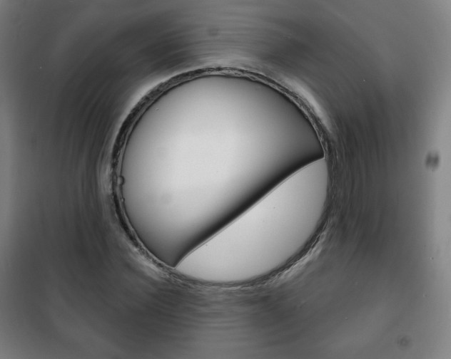 X0000101700924200807101342
