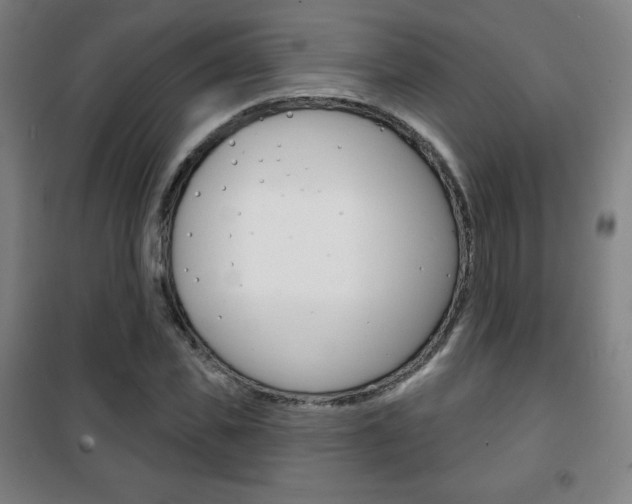 X0000101700925200807101342