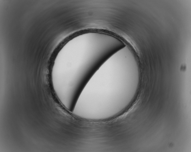 X0000101700926200807101342