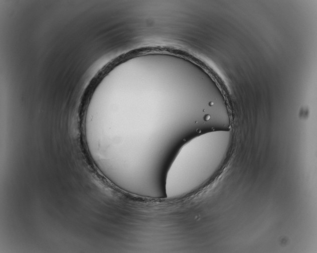 X0000101700927200807101342