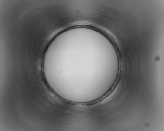 X0000101700929200807101342