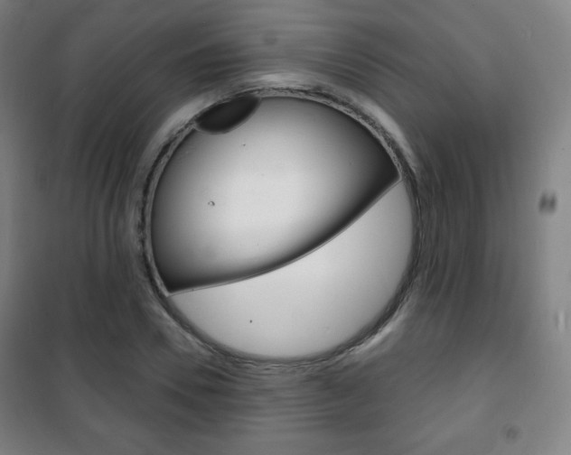 X0000101700930200807101342