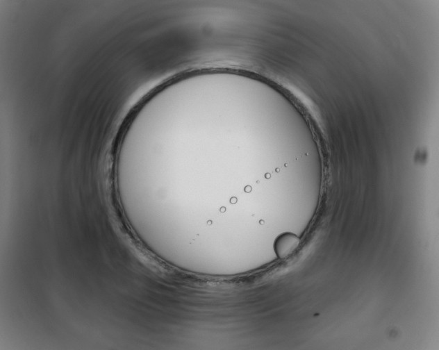 X0000101700933200807101342