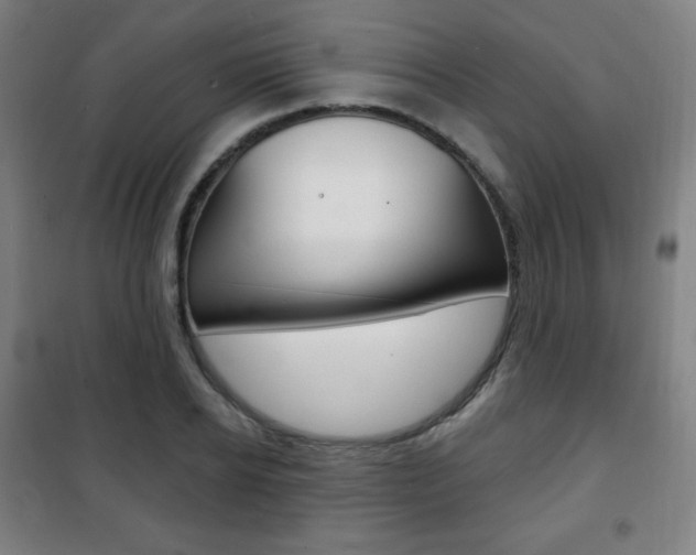 X0000101700934200807101342