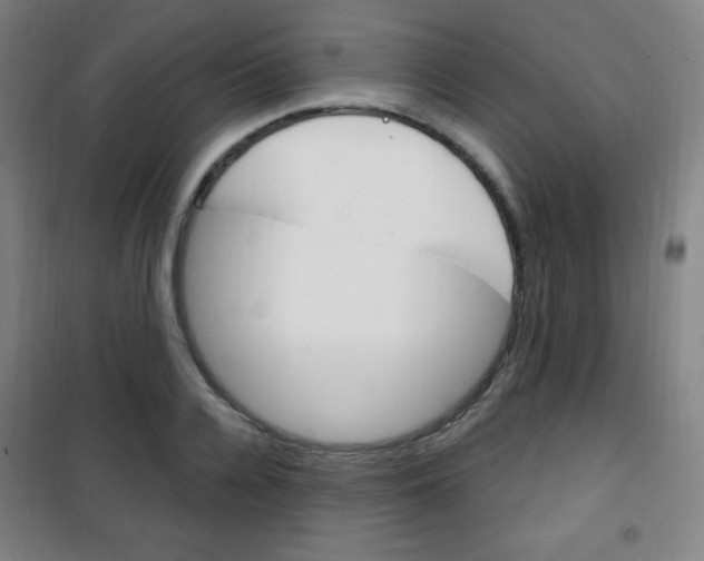 X0000101700936200807101343