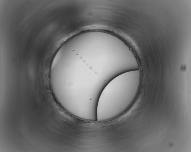 X0000101700937200807101343
