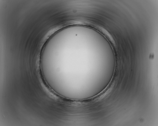 X0000101700938200807101343