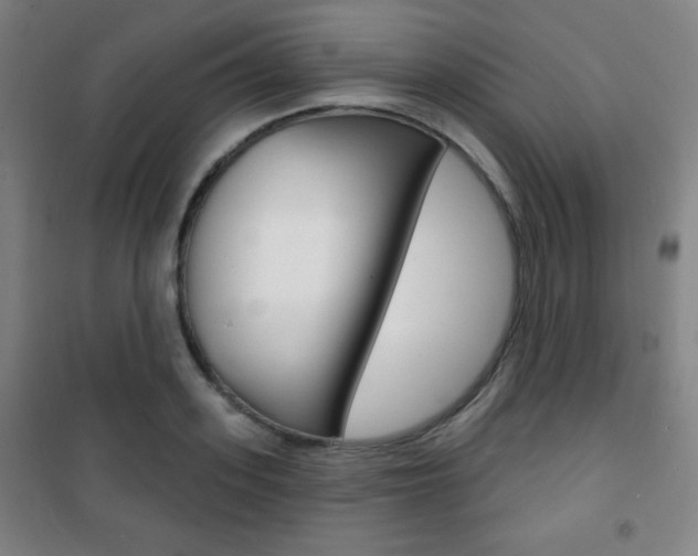 X0000101700939200807101343