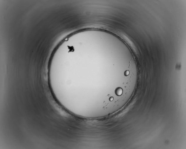 X0000101700940200807101343