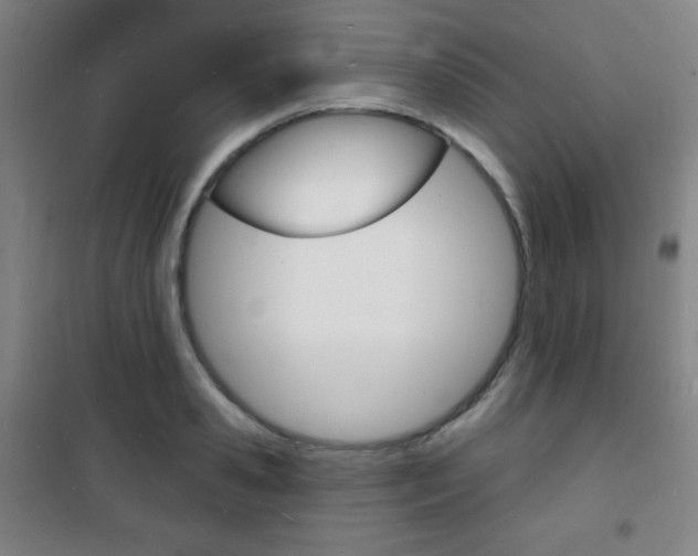X0000101700941200807101343