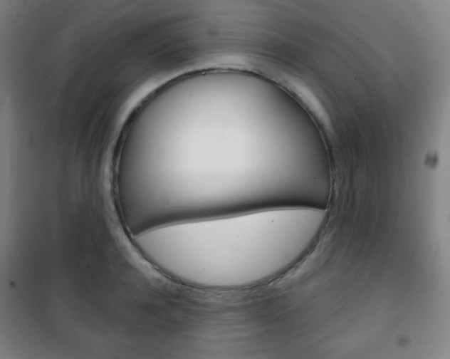 X0000101700944200807101343